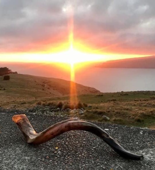 Shofar on a rock taken at sunrise