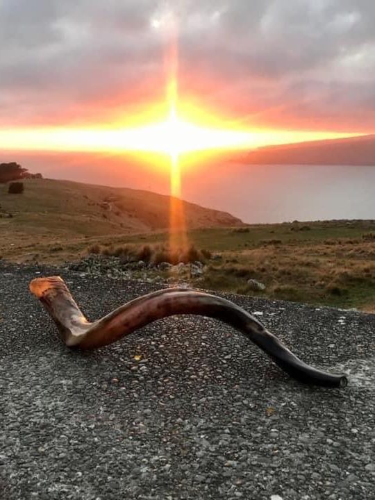 Shofar on a rock taken at sunrise